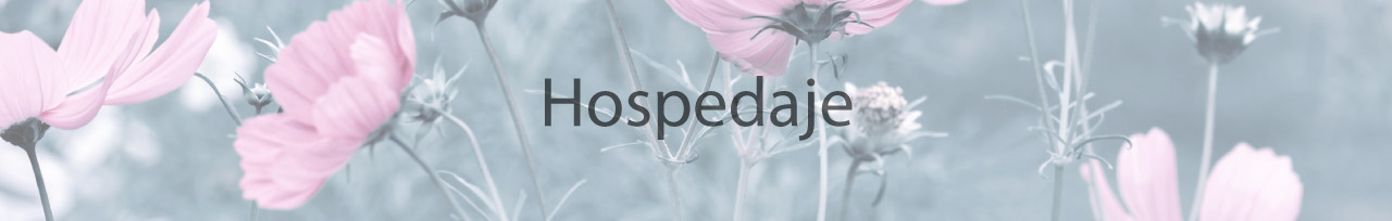 Hospedaje-banner2