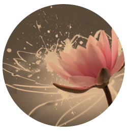 inicio_flores